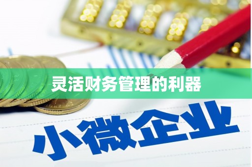 顺平灵活财务管理的利器