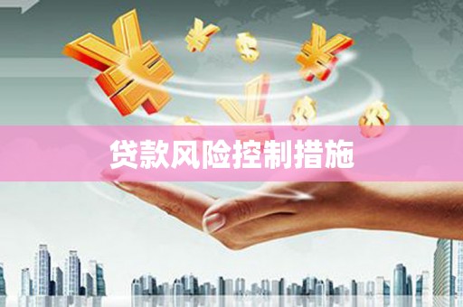 顺平贷款风险控制措施