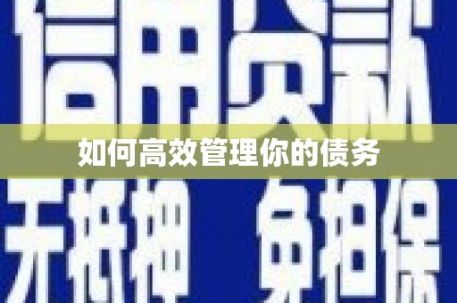 顺平如何高效管理你的债务