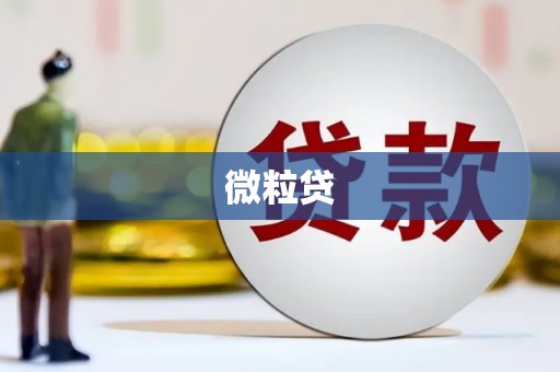 顺平微粒贷