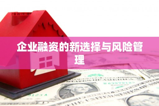 顺平企业融资的新选择与风险管理