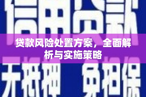顺平贷款风险处置方案，全面解析与实施策略