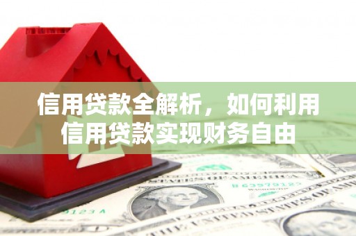顺平信用贷款全解析，如何利用信用贷款实现财务自由