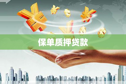 顺平保单质押贷款