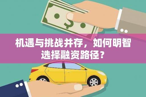 顺平机遇与挑战并存，如何明智选择融资路径？