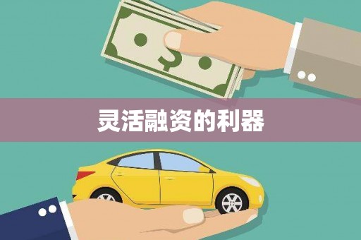 顺平灵活融资的利器