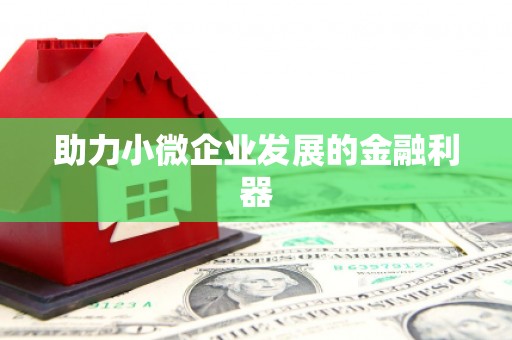 顺平助力小微企业发展的金融利器