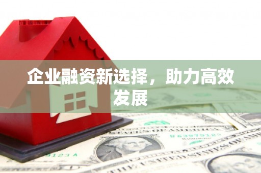 顺平企业融资新选择，助力高效发展