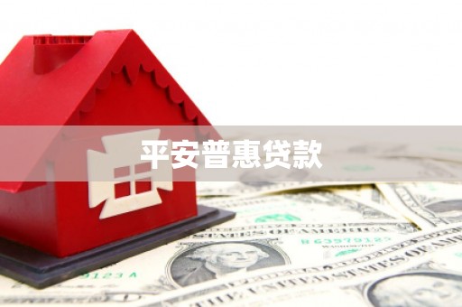顺平平安普惠贷款