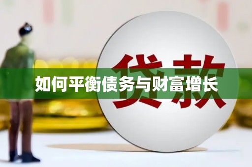 顺平如何平衡债务与财富增长