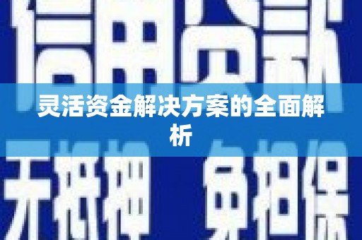 顺平灵活资金解决方案的全面解析