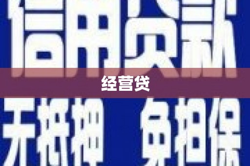 顺平经营贷